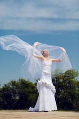Fototapeta na wymiar bride and veil