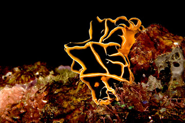 30 Meter unter Wasser