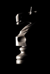 caballo © OR MIXphoto