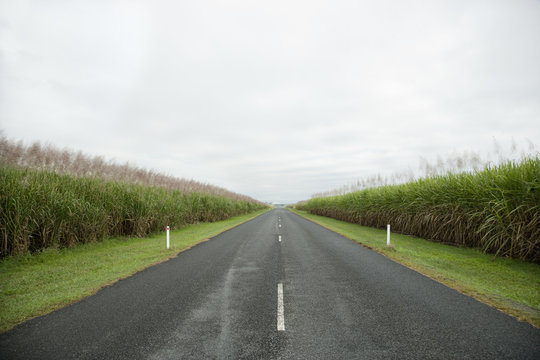 Rural Road in Grasslands