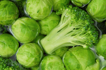 brussels sprouts and broccoli macro