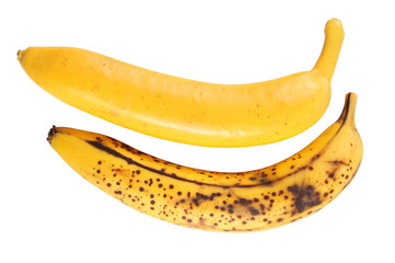 Two bananas. Isolated