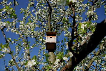 nistkasten