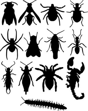 bugs vector silhouettes