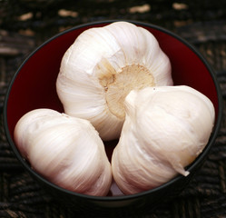 Knoblauch