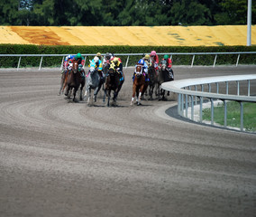Fototapeta premium Thoroughbreds Racing Through the Final Turn