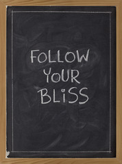 Fototapeta premium follow your bliss - reminder