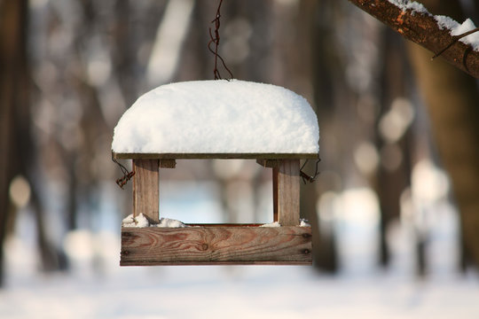 Feeder for a birds