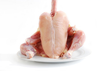 nude chicken ©  Fahad Hassan