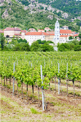 Fototapeta na wymiar Dürnstein, winnic w regionie Wachau, Dolna Austria, Austria