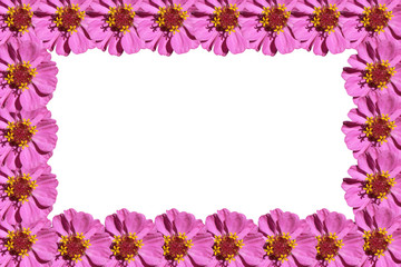 purple flowers frame