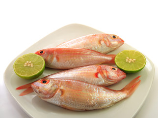 Dish of fish