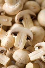 Edible mushroom