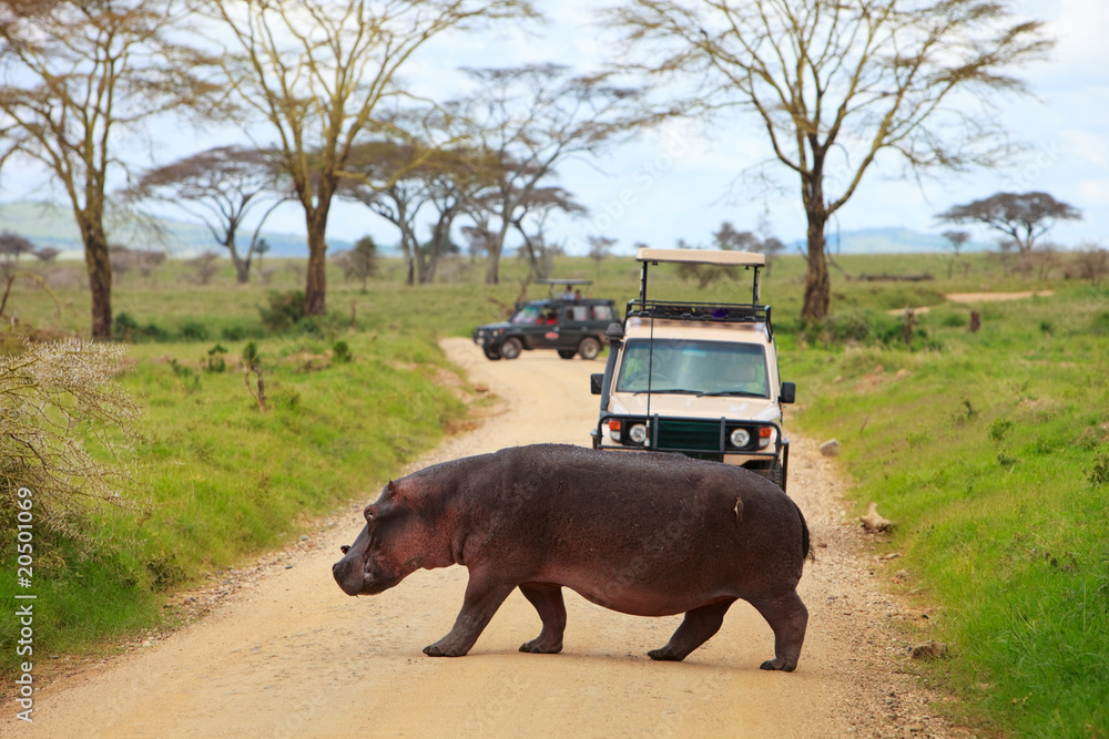 Poster game drive