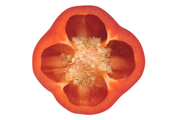 red paprika cros section