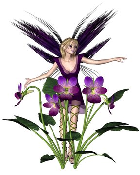Spring Violet Fairy