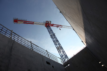 Fototapeta premium grue