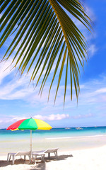 Fototapeta na wymiar chairs and umbrella under palms on sand beach