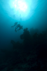 Fototapeta na wymiar Silhouette of divers over a coral reef