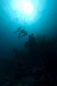 Silhouette of divers over a coral reef