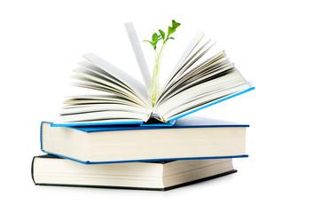 Knowledge concept with books and seedlings