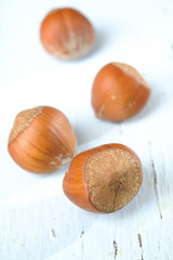 four hazelnut