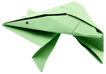 origami, grenouille verte, fond blanc
