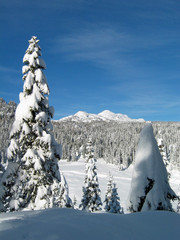 Fototapeta na wymiar Snowy Landscape