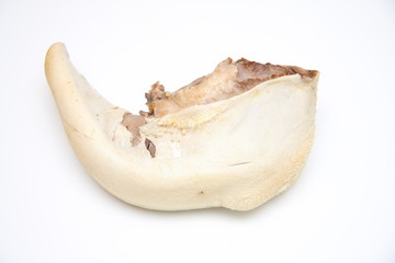 Fototapeta premium langue de boeuf