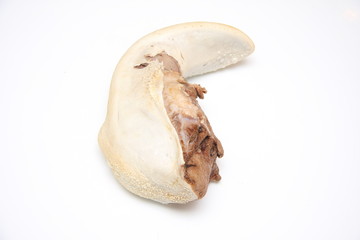 Fototapeta premium langue de boeuf