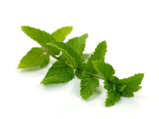 Mint Leaves