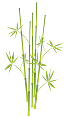 Fototapeta na wymiar bamboo, vector illustration