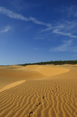 Red Sandunes Mui Ne Vietnam