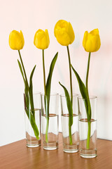 four yellow tulips