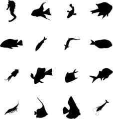 set fish
