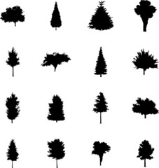 The set from silhouettes of trees