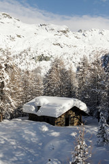 Fototapeta premium vecchia baita - Alpe Palù - Valmalenco - Italy