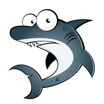 hai cartoon fisch lustig