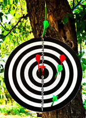 Target with the thrust darts