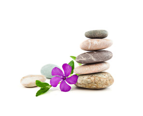 Fototapeta na wymiar The balanced stones and gentle flower on a white background