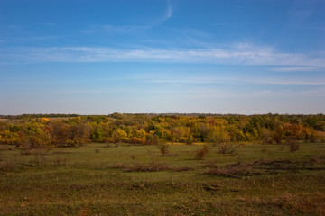 Obraz premium evening countryside landscape