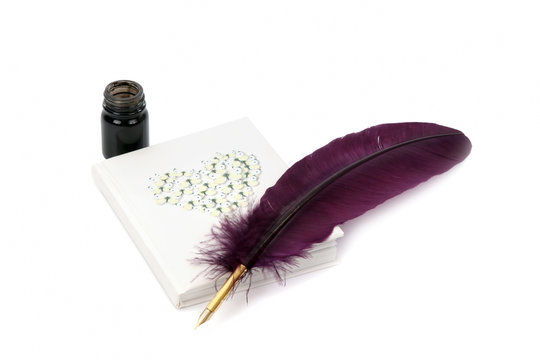 Feather, ink and diary