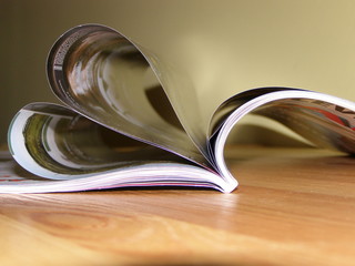 OLYMPUS DIGITAL CAMERA © bnorbert3