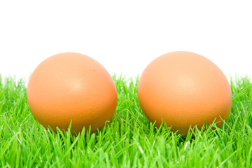 two chicken eggs on grass