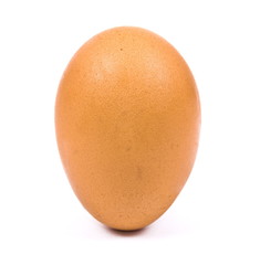 Egg