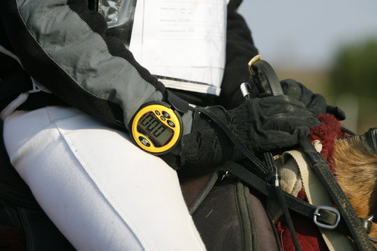 Equitation