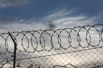 Razor wire