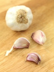 Garlic