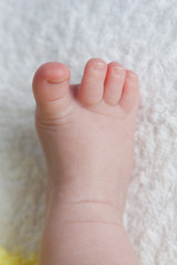 Baby’s foot