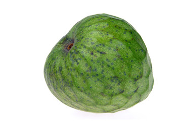 Cherimoya 21